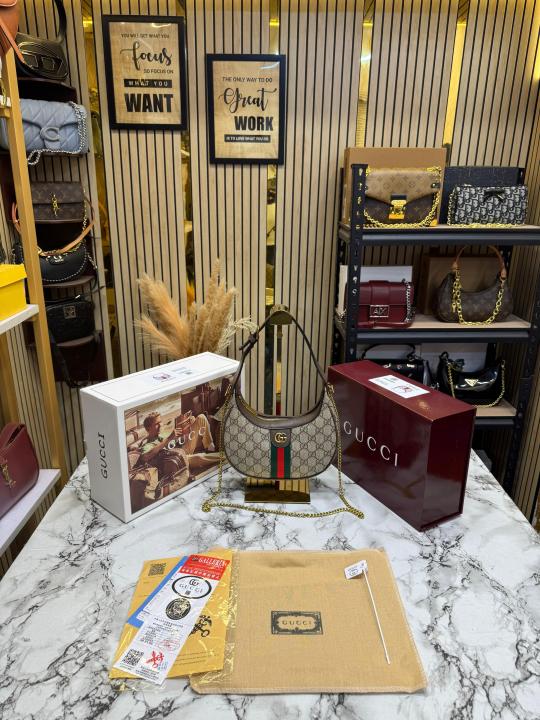 Gucci ophedia GG mini