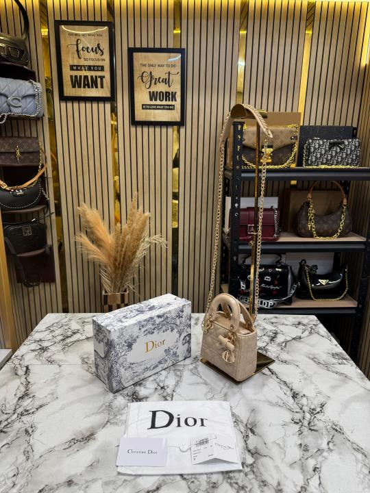 Dior lady micro