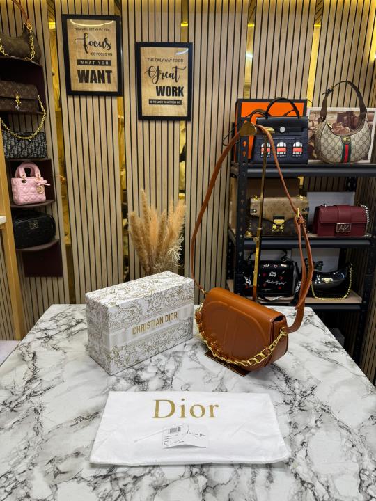 Christian Dior Bobby Frame Bag