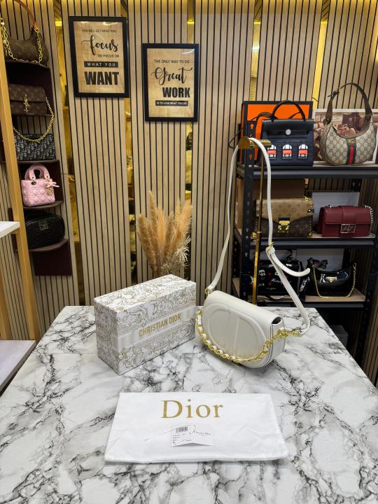Christian Dior Bobby Frame Bag (white)